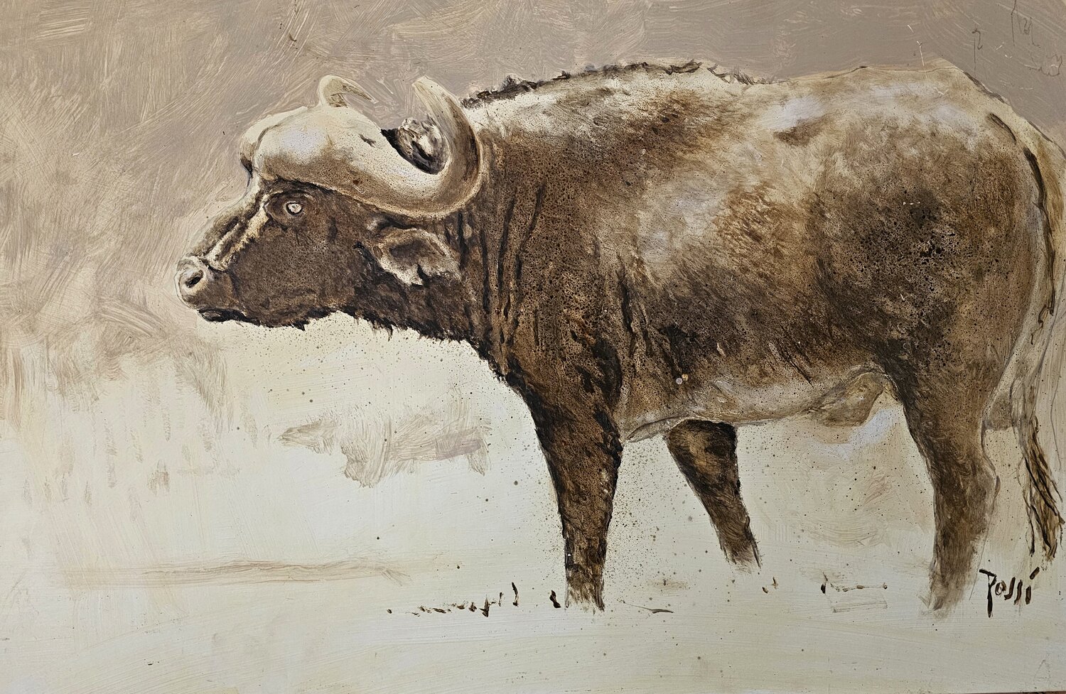 Buffle en Brousse georges Rossi