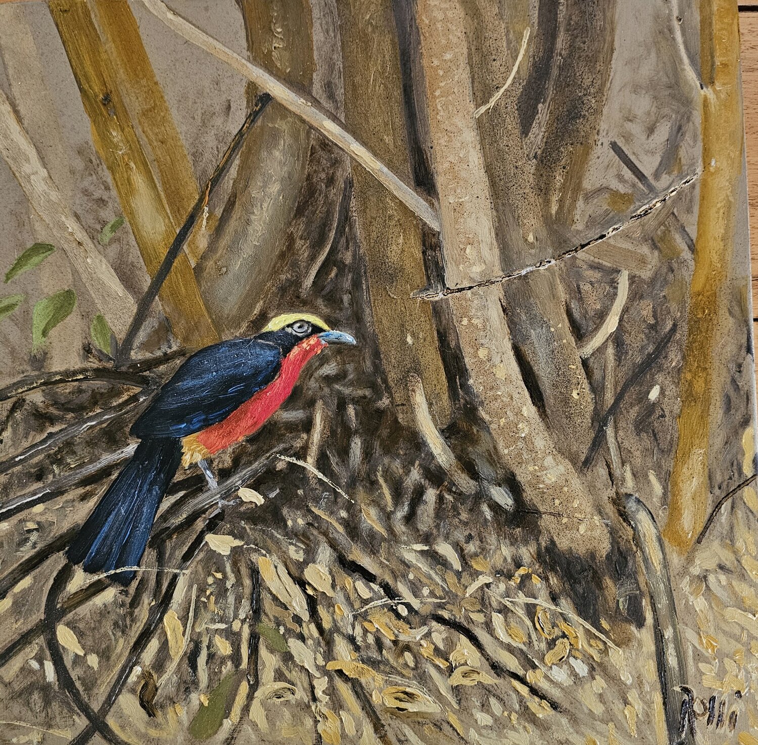 Gonelek le plus belle oiseau de mon Jardin georges Rossi