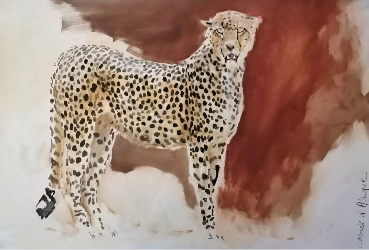 Etude de guepard georges Rossi