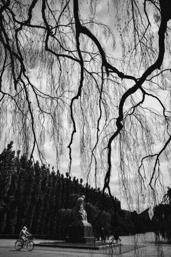 An abstract frame in Berlin Treptower Park. by ihsan Okur, 사진 for Sale on Singulart