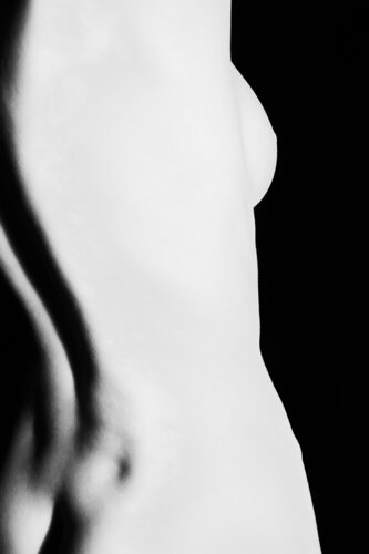Torso Miss Y (#171104/3385) par Stephan Joachim, Photographie en vente sur Singulart