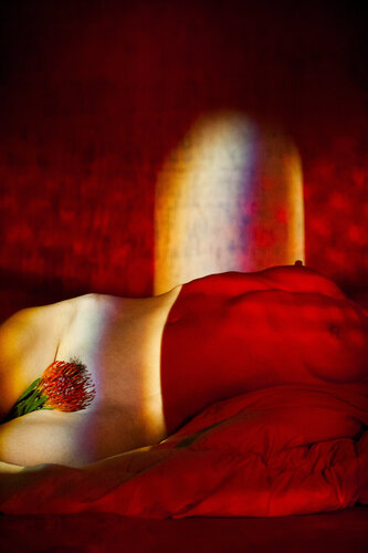 Miss Why - Rot di Stephan Joachim, Fotografia in vendita su Singulart