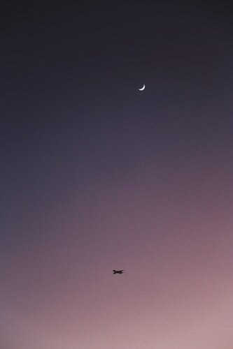 Violet Dusk de Darian Jovan, Digital a la venta en Singulart