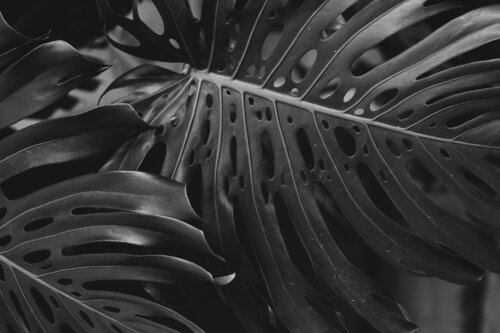 Breathe von Darian Jovan, Digital kaufen auf Singulart