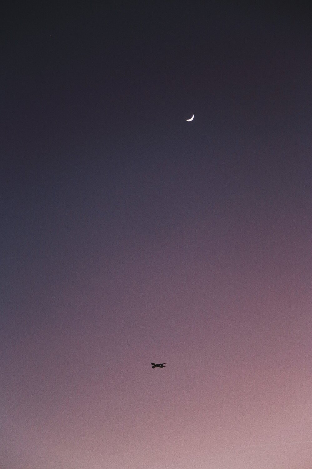 Violet Dusk Darian Jovan