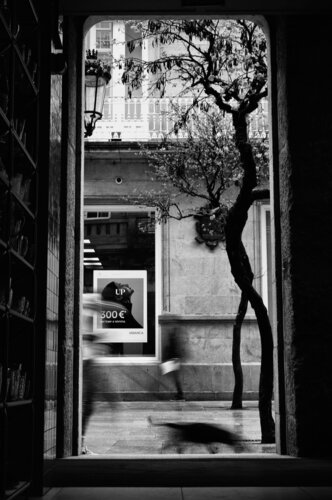 SIN DEJAR RASTRO di Jose Maria Lamo de Espinosa Michels de Champourcin, Fotografia in vendita su Singulart