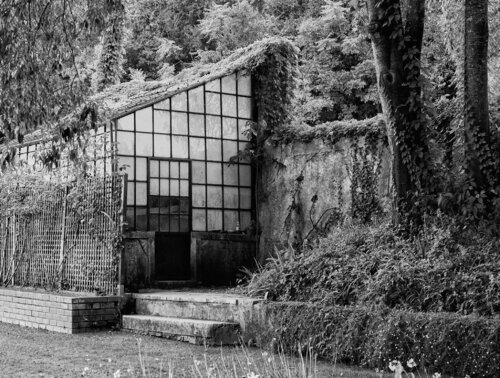 INVERNADERO by Jose Maria Lamo de Espinosa Michels de Champourcin, Photography for Sale on Singulart