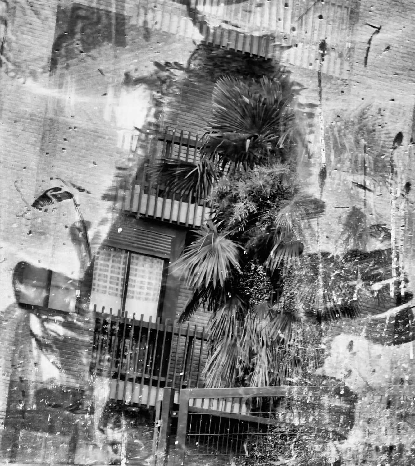 ESPEJO CONFUSO Jose Maria Lamo de Espinosa Michels de Champourcin Fotografie zu verkaufen