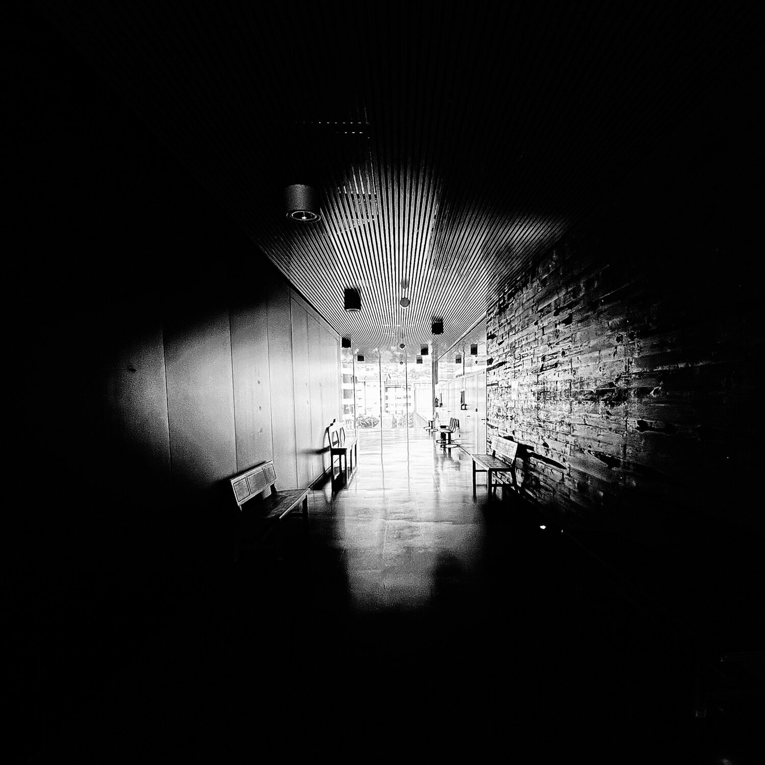 EL TUNEL Jose Maria Lamo de Espinosa Michels de Champourcin Fotografie zu verkaufen