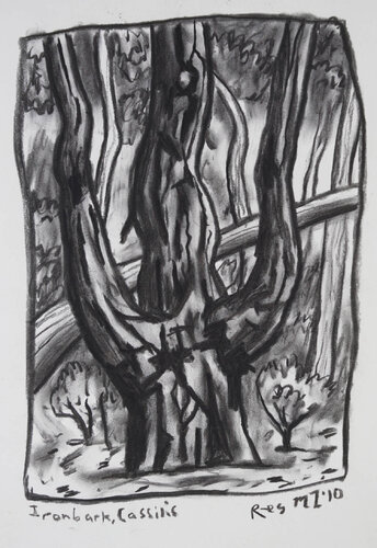 Ironbark, Cassilis by Chris O'Doherty, Work on Paper for Sale on Singulart