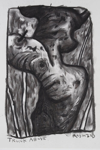 Trunk Above van Chris O'Doherty, Werk op papier te koop op Singulart