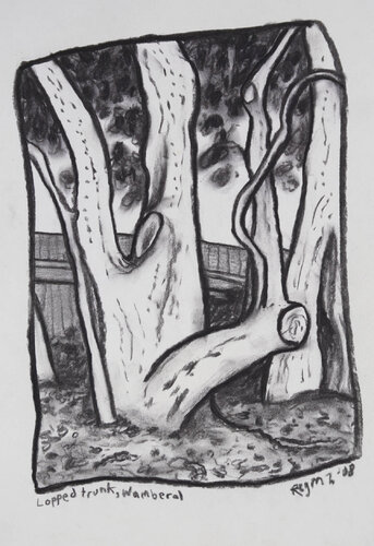 Lopped trunk, Wamberal van Chris O'Doherty, Werk op papier te koop op Singulart