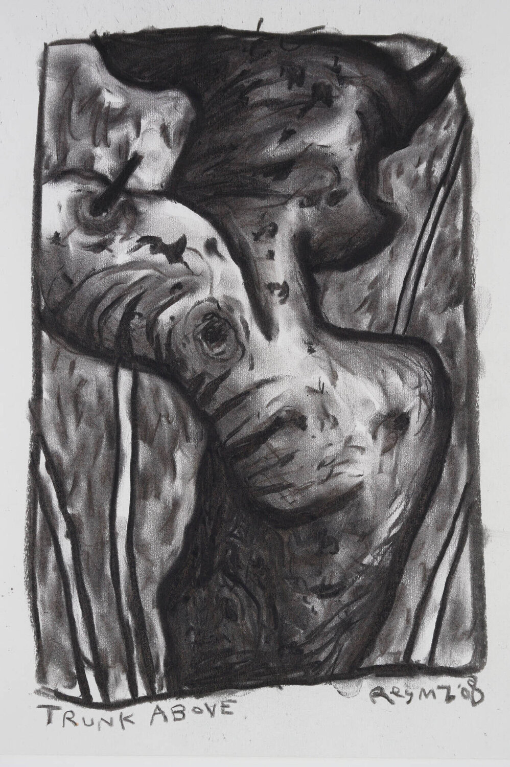 Trunk Above Chris O'Doherty