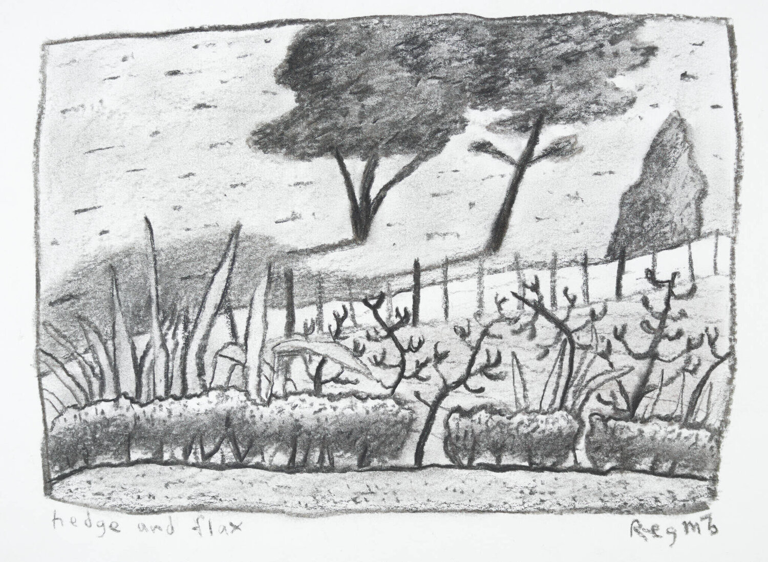 Hedge and flax Chris O'Doherty