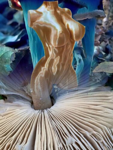 PARASOL FUNGUS STORIA par Valda Marina Kalous, Digital en vente sur Singulart