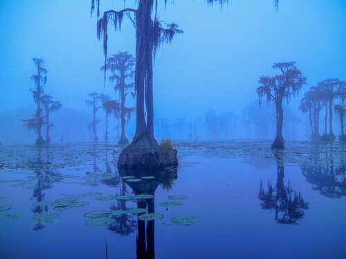 Blue Bayou von Richard Mathis, Fotografie kaufen auf Singulart