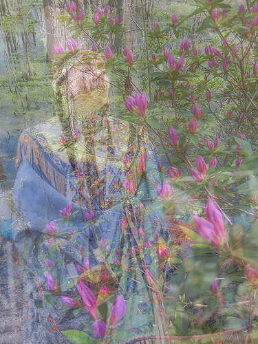 Blue Dancer in Azaleas di Richard Mathis, Fotografia in vendita su Singulart