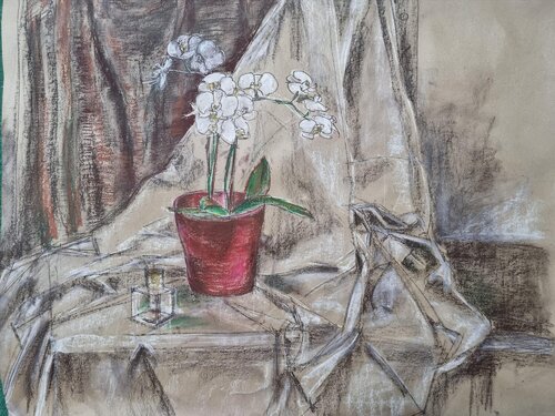 Orchid von Liliana Georgeta Barna, Zeichnungen kaufen auf Singulart