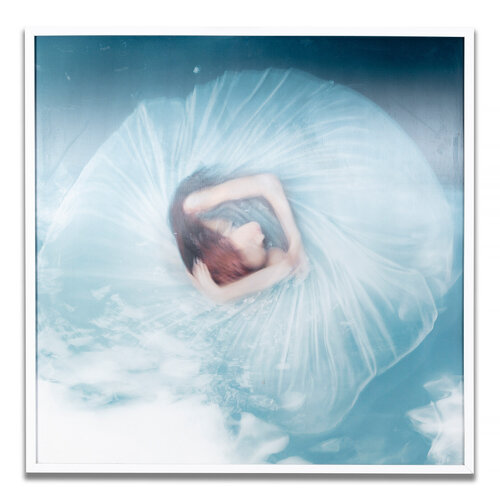 Forget-Me-Not Lenticular von Barbara Cole, Fotografie kaufen auf Singulart