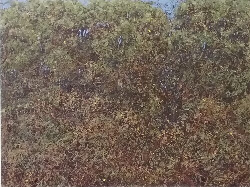 Forest and Covert van Arthur Jedson Smalley, Schilderij te koop op Singulart