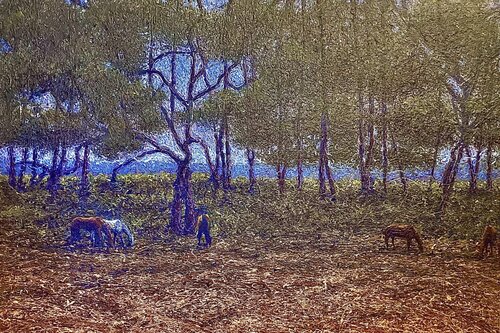 Gunpowder Woods di Arthur Jedson Smalley, Pittura in vendita su Singulart