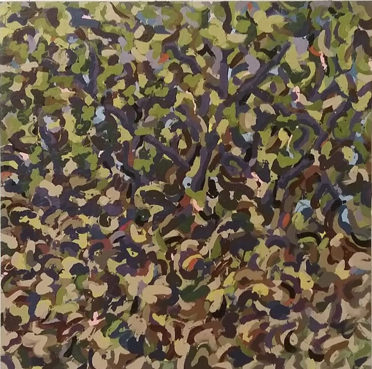 Dense Forest Landscape Arthur Jedson Smalley