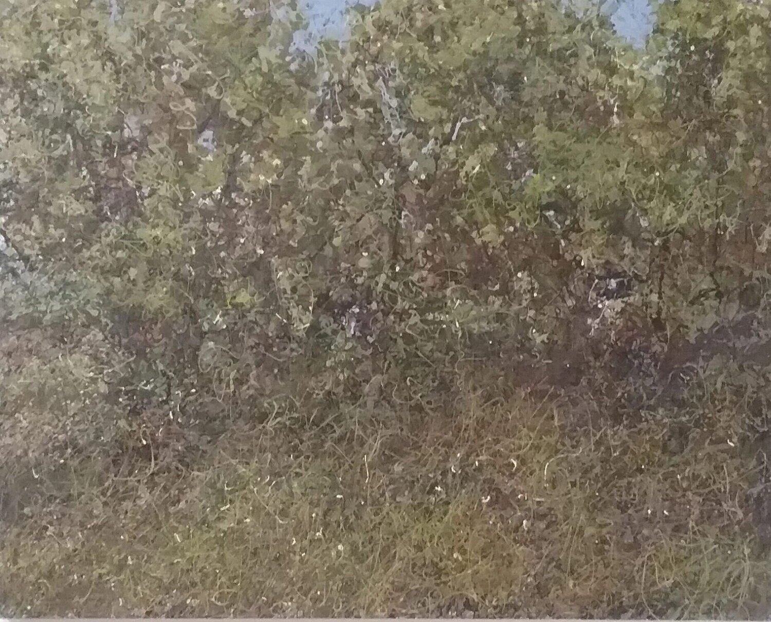 Woodland, September Arthur Jedson Smalley