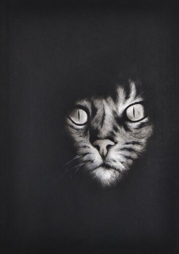 El Gato par Davaro David, Peinture en vente sur Singulart