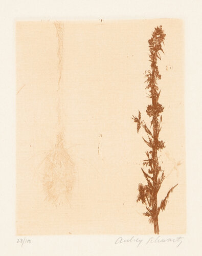 Wild Flowers IX by Aubrey Schwartz, Print for Sale on Singulart
