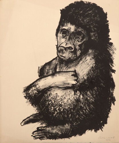 Chimpanzee by Aubrey Schwartz, Print for Sale on Singulart