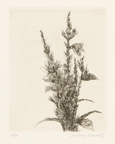 Wild Flowers I by Aubrey Schwartz, Print for Sale on Singulart