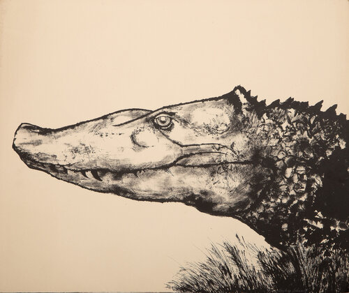 Alligator by Aubrey Schwartz, Print for Sale on Singulart