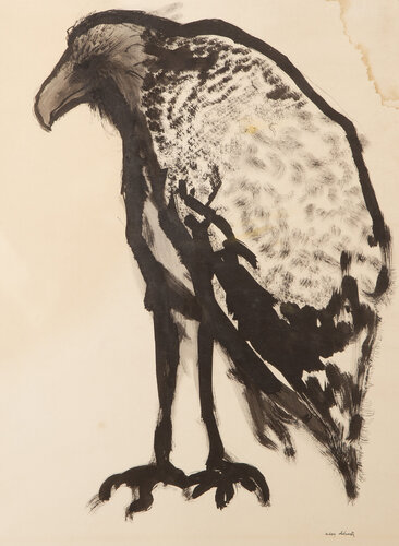 Vulture di Aubrey Schwartz, Opera su carta in vendita su Singulart
