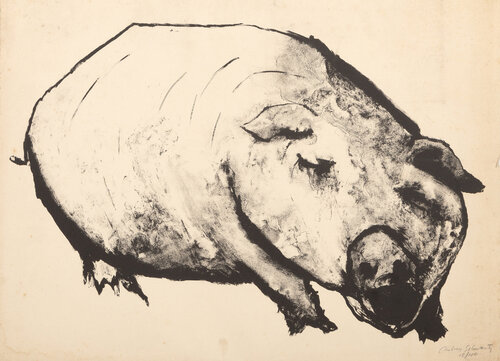 Pig di Aubrey Schwartz, Stampa in vendita su Singulart