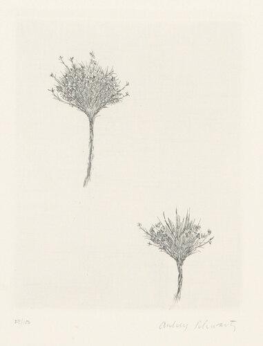Wild Flowers II van Aubrey Schwartz, Afdruk te koop op Singulart