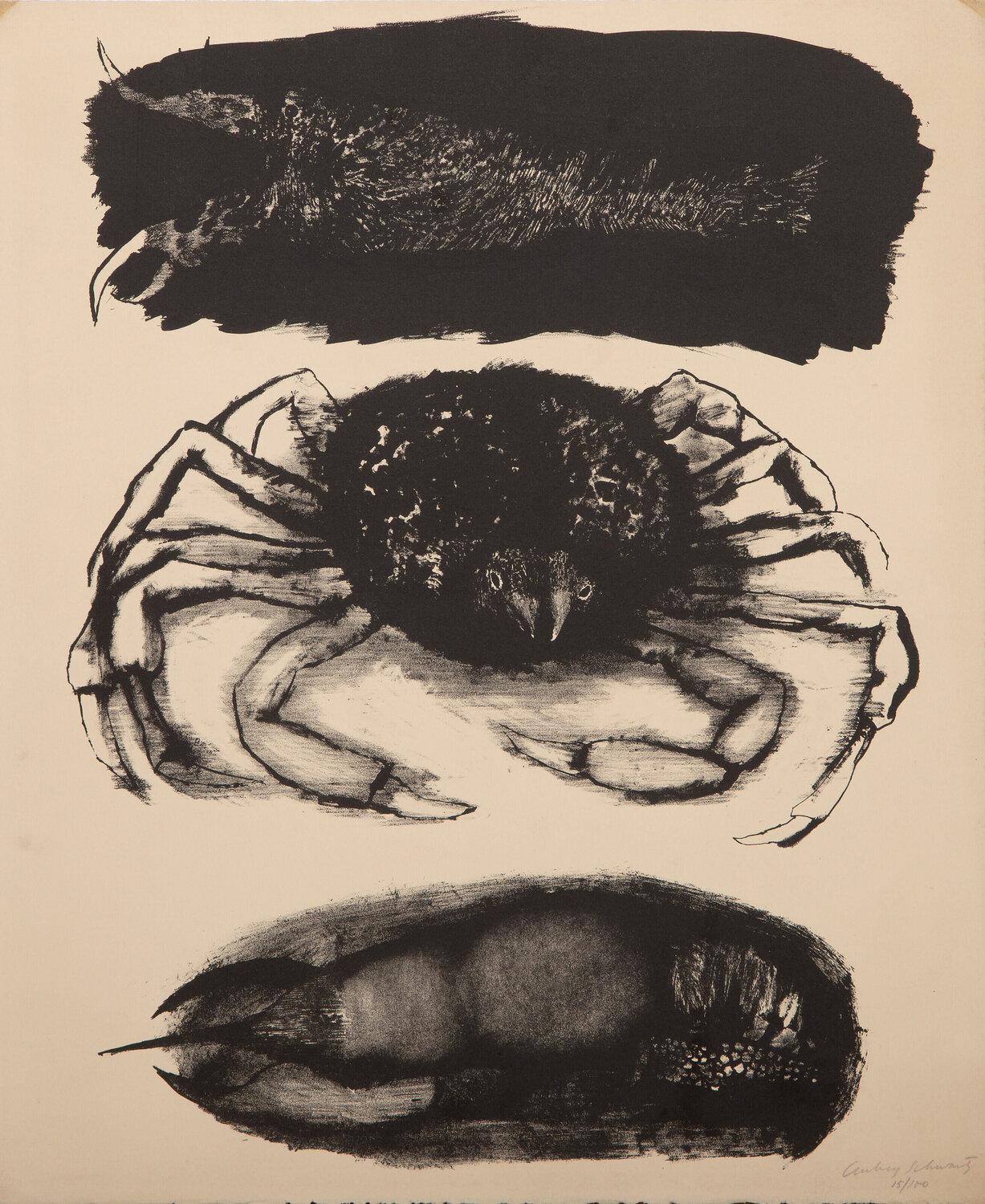 Crayfish Aubrey Schwartz