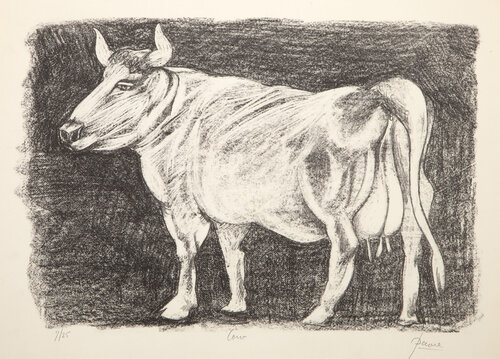 Cow by Peter Paone, Print for Sale on Singulart