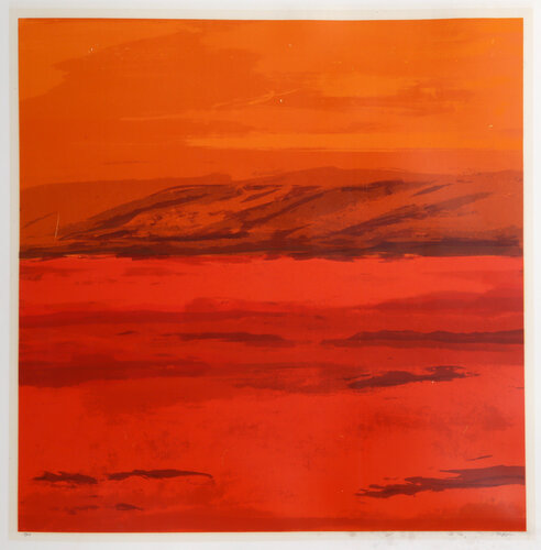 Canyon Series II van Joseph Grippi, Afdruk te koop op Singulart