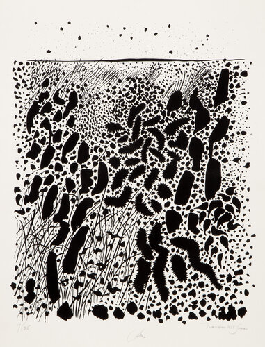 Cattails from Nantucket Seriers von Bob Cato, Druck kaufen auf Singulart