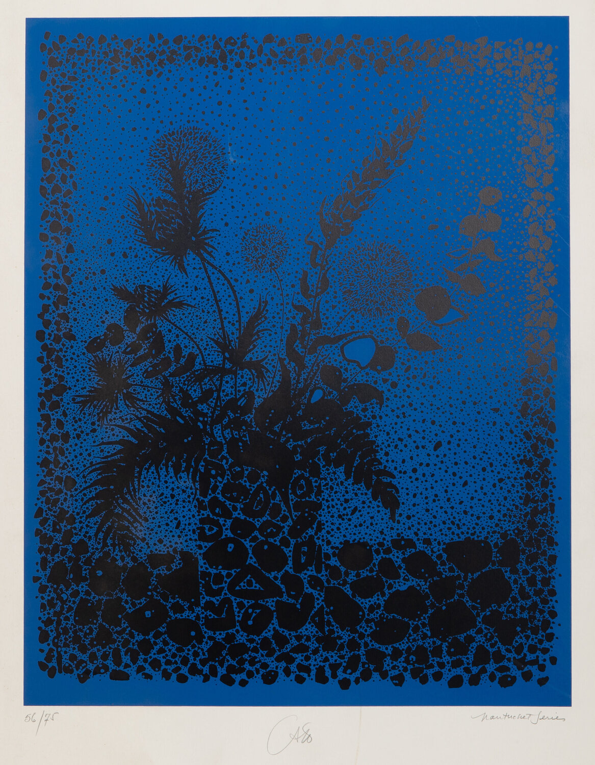 Still Life from the Nantucket Series (Blue) Bob Cato Druck zu verkaufen