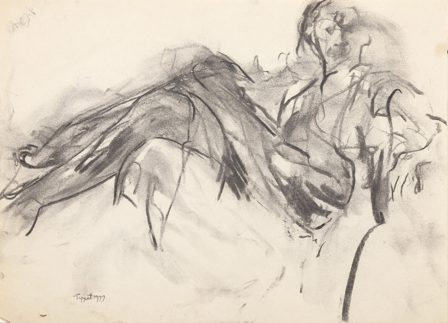 Portrait of a Man Bruce Tippett