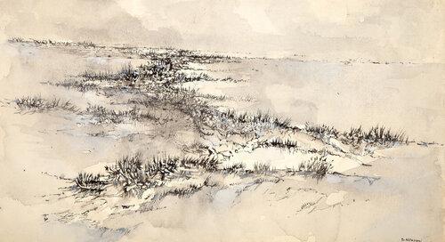 Bare Landscape di Daniel Newman, Opera su carta in vendita su Singulart