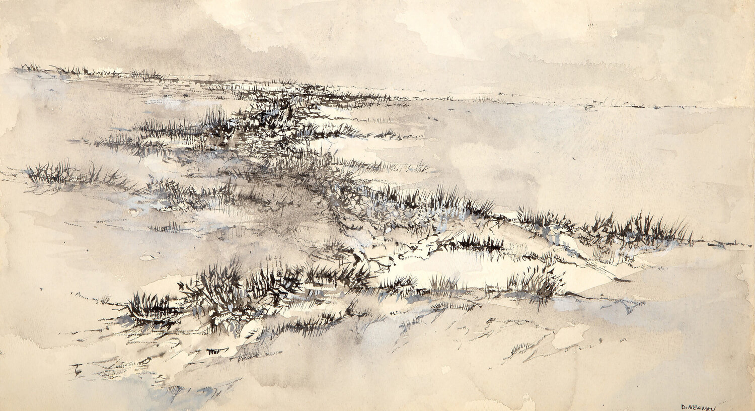 Bare Landscape Daniel Newman