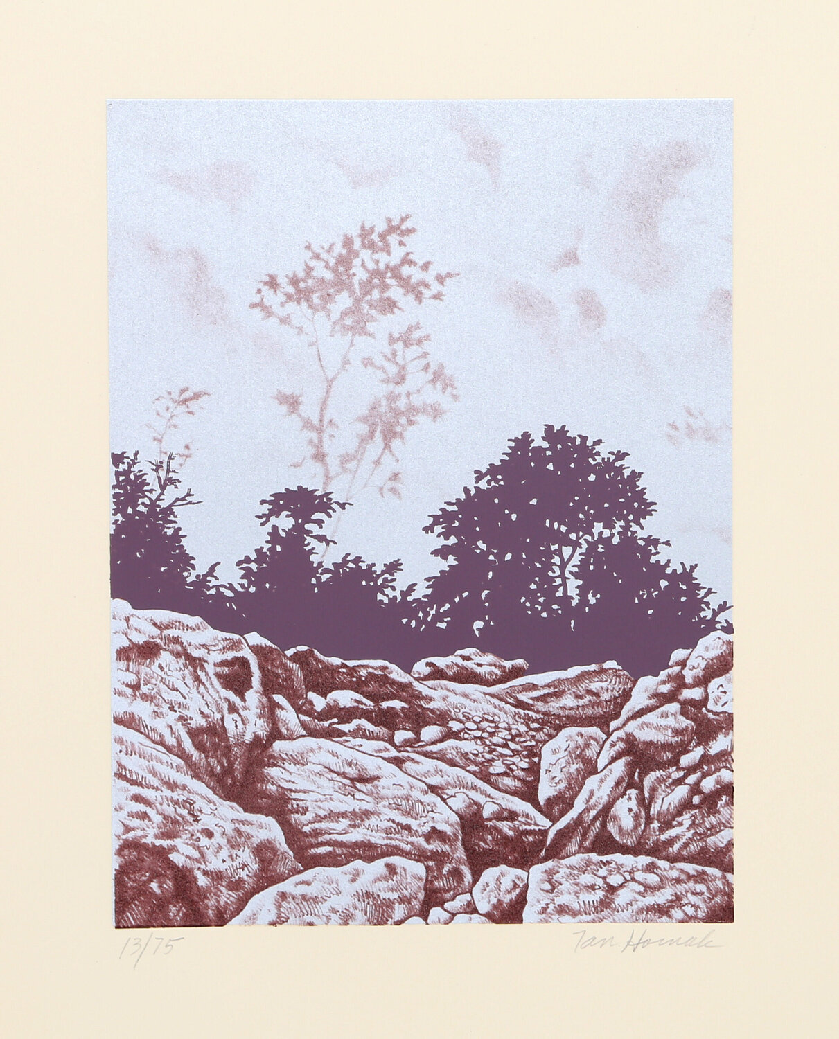 Forest Cliff (Purple) Ian Hornak