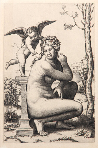 Venus Accroupie van Marcantonio Raimondi, Afdruk te koop op Singulart