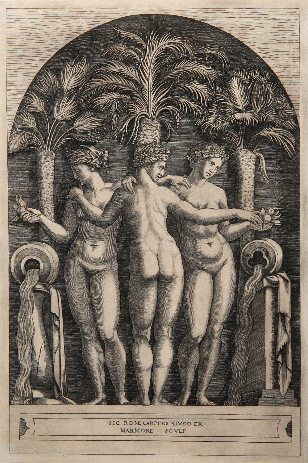 Les trois Graces Marcantonio Raimondi