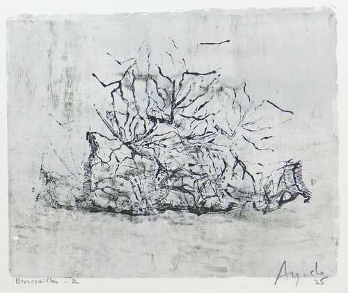Broussailes #2 van Alfredo YACHE, Schilderij te koop op Singulart