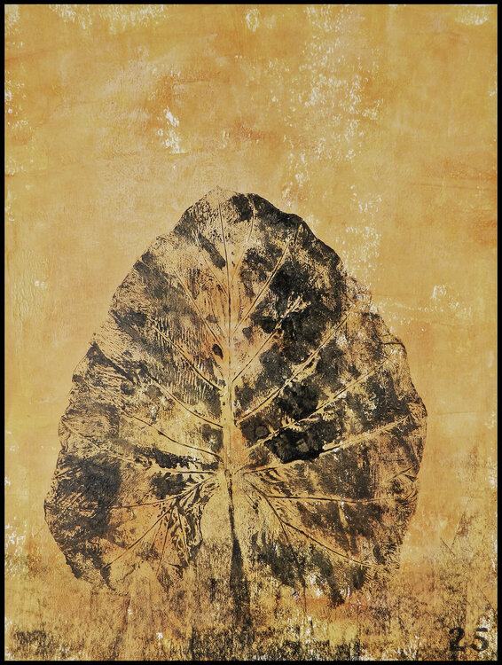 Erbium - Palimpseste #2 Alfredo YACHE