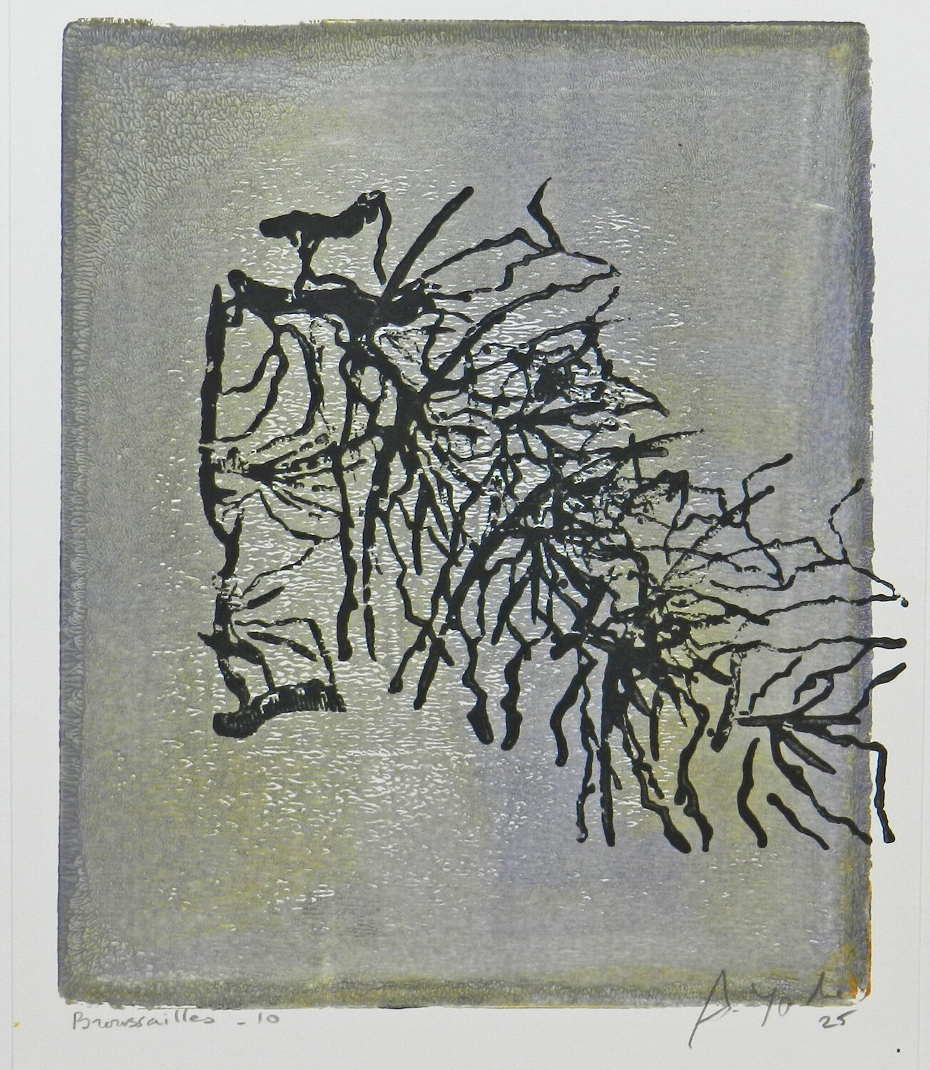 Broussailes #10 Alfredo YACHE