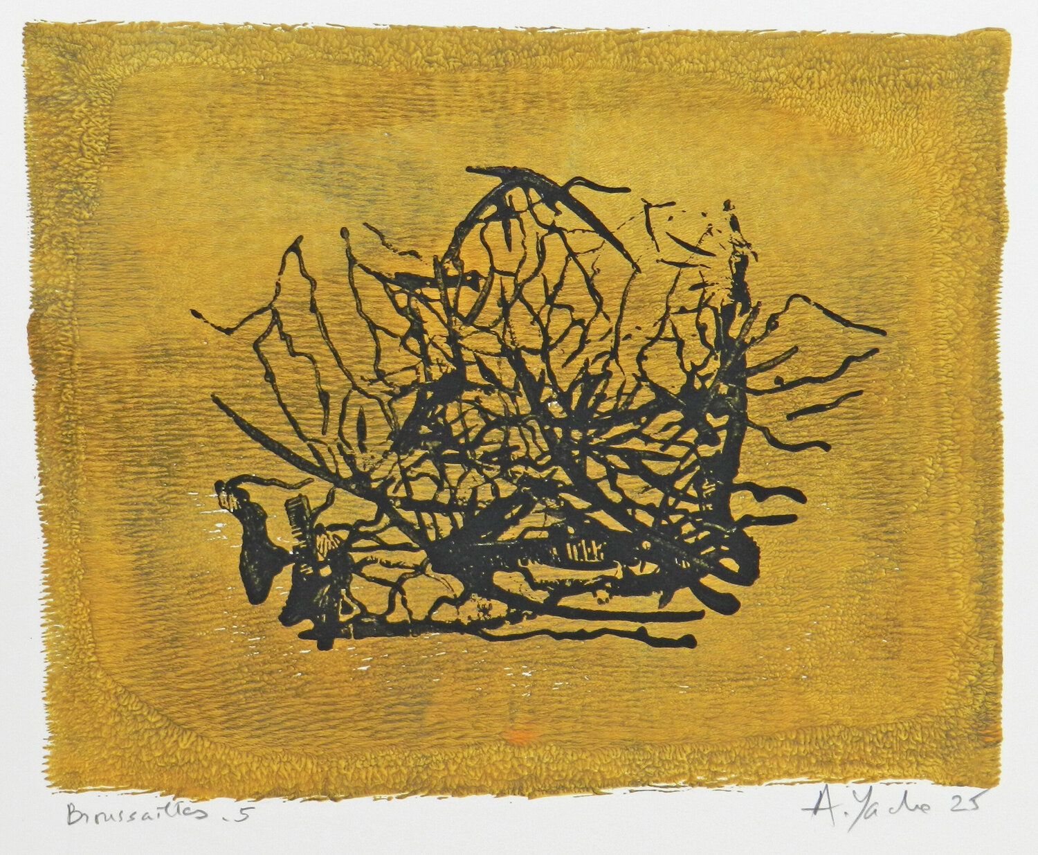 Broussailes #5 Alfredo YACHE